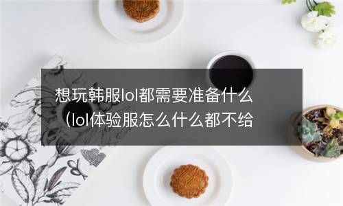 想玩韩服lol都需要准备什么（lol体验服怎么什么都不给了） 