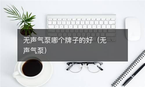 无声气泵哪个牌子的好（无声气泵） 