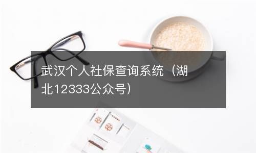 武汉个人社保查询系统（湖北12333公众号） 