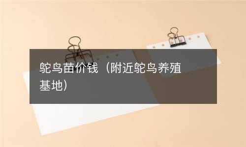 鸵鸟苗价钱（附近鸵鸟养殖基地） 