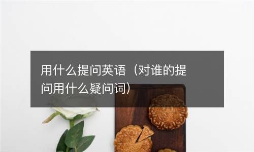 用什么提问英语（对谁的提问用什么疑问词） 