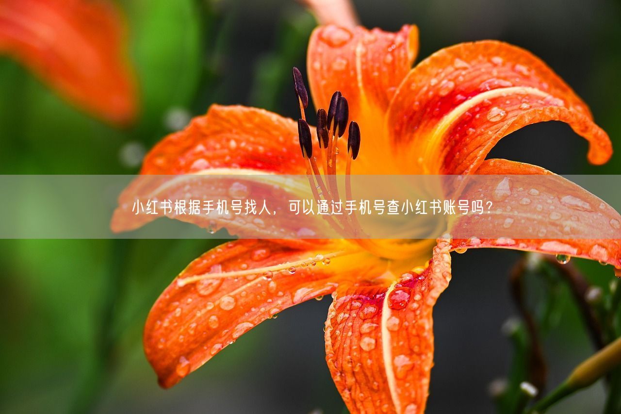 小红书根据手机号找人，可以通过手机号查小红书账号吗？ 